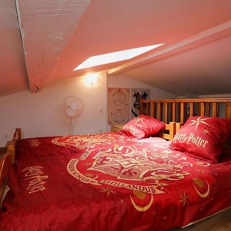 Harry Potter - Le Logis Du Petit Sorcier - Clim Carcassonne Exterior foto